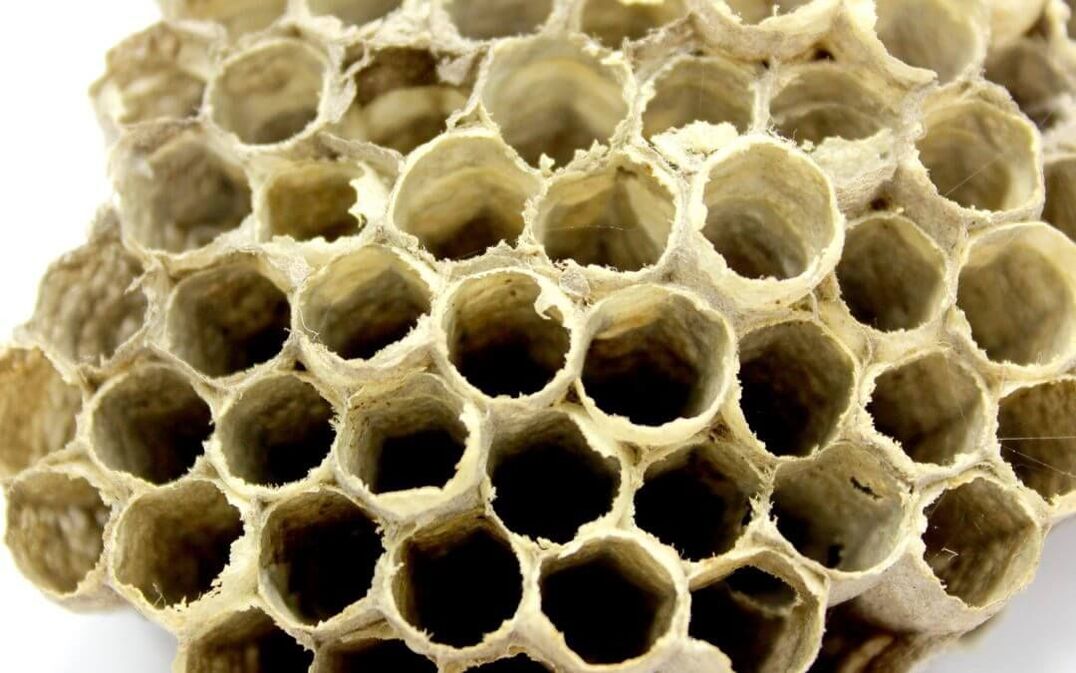bičių klijai potencijai padidinti