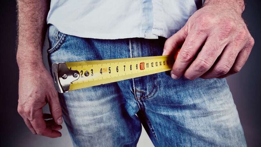 13 cm yra vidutinis vyro varpos dydis erekcijos metu